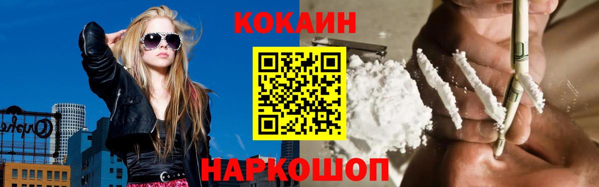 COCAIN Fish Scale  COCAIN Боливия  Вход с VPN  Черняховск 