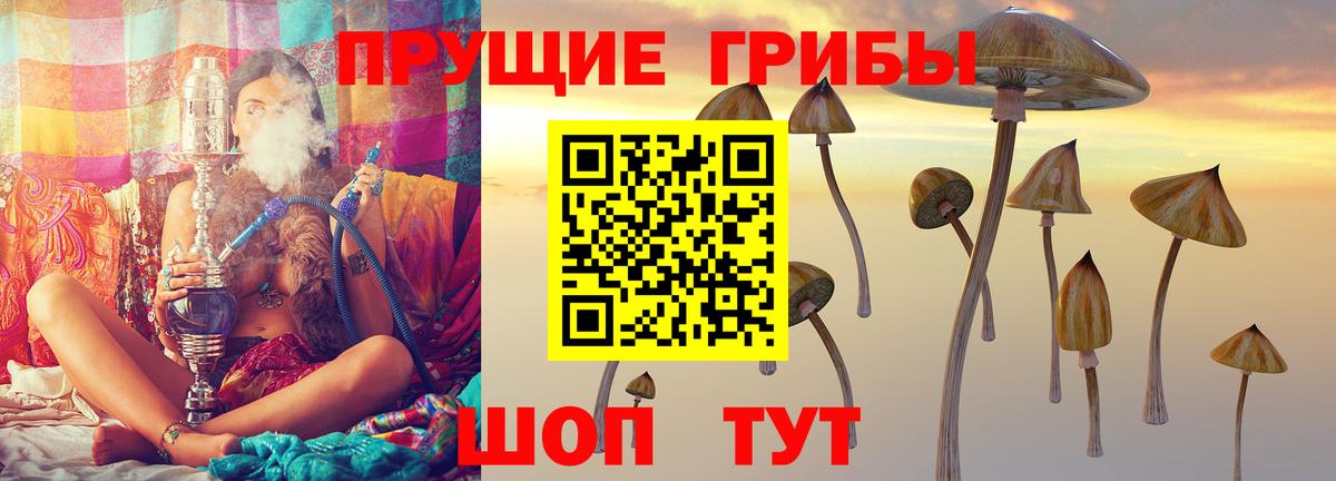 Галлюциногенные грибы мицелий  сколько стоит  Галлюциногенные грибы Psilocybe  Черняховск  Вход с VPN 
