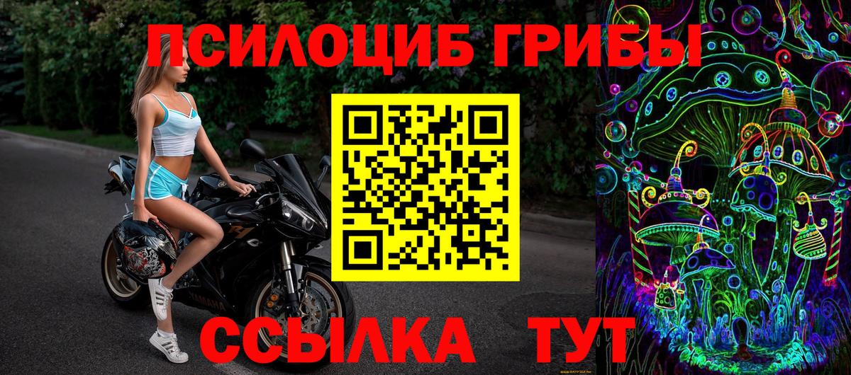 Псилоцибиновые грибы Psilocybine cubensis Черняховск
